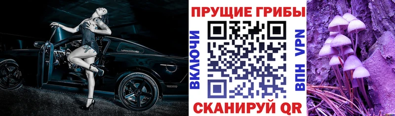 что такое   Южа  Галлюциногенные грибы GOLDEN TEACHER 
